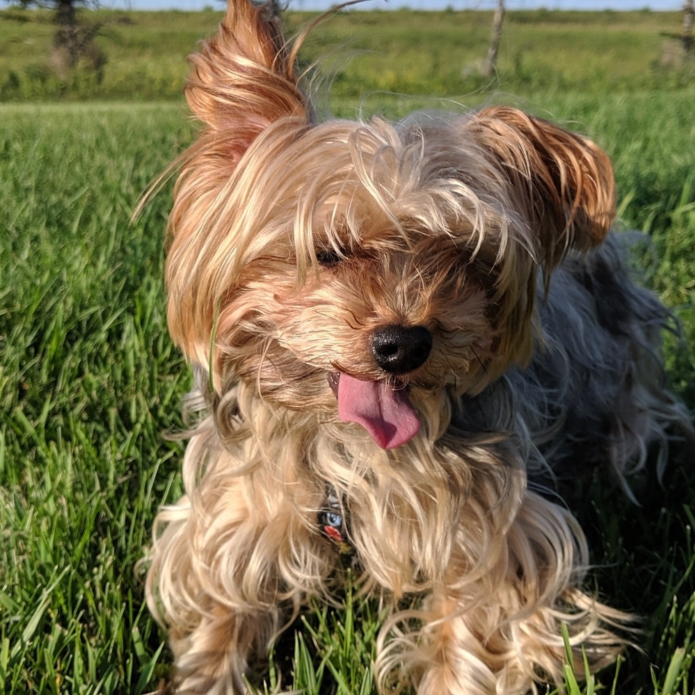 Meet your Posher, Judy